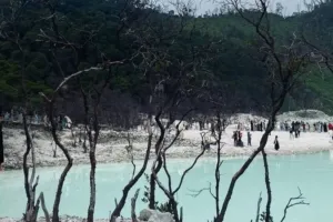 Warisan Ledakan Gunung Patuha, Kawah Putih Ciwidey Tetap Membuat Terpikat sebagai Wisata Romantis Eksotis