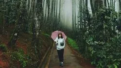 Pengalaman Tak Terlupakan: 3 Wisata Malam Bandung untuk Kencan Romantis 1 Pengalaman Tak Terlupakan: 3 Wisata Malam Bandung untuk Kencan Romantis