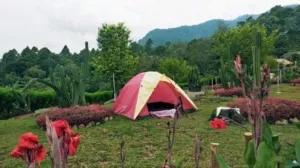 Berkunjung ke Taman Betung, Udara Segar Bak Puncak di Bandar Lampung