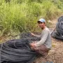 Reaktivasi Jalur KA Cipatat-Padalarang Dimulai, Kondisi Jalur Memprihatinkan