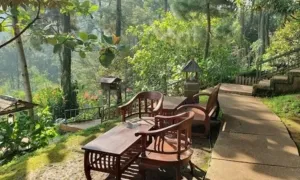 5 Cafe Alam Terbaik di Bogor, Pelarian Sempurna dari Kehirukan Jakarta