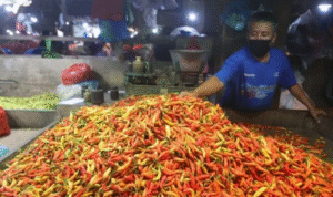 harga cabai di jawa timur Harga Bahan Pokok di Surabaya