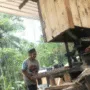 Sengon Melimpah, Perusahaan Jepang Bangun Pabrik Pengolahan Kayu di Jember 114 Sengon Melimpah, Perusahaan Jepang Bangun Pabrik Pengolahan Kayu di Jember