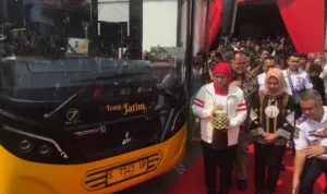 bus trans jatim