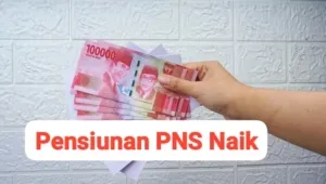 Rincian Gaji Pensiunan PNS Golongan IA-ID yang Naik, Cek Bukti Transfer Terbaru!