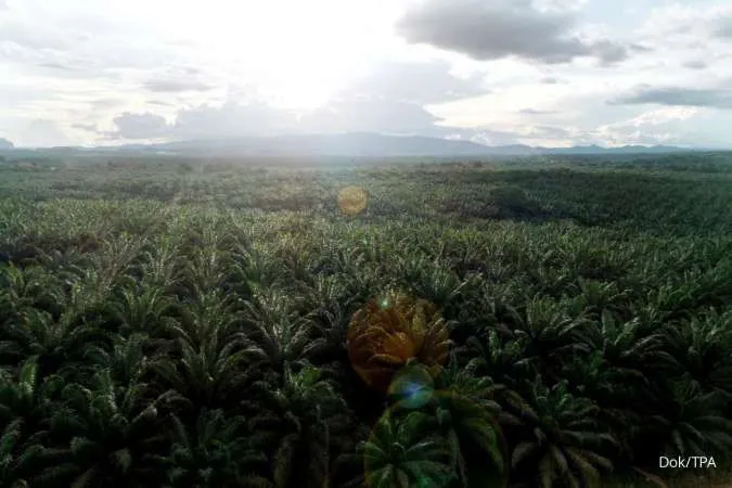 TLDN Raih Laba Bersih Rp829,3 Miliar Hingga September 2025 1 TLDN Raih Laba Bersih