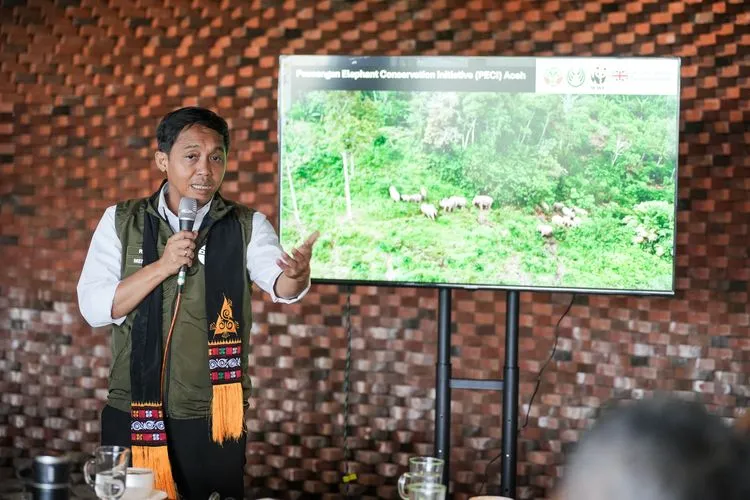 Kemenhut Ucapkan Terima Kasih ke Publik karena Raja Juli Disebut Berkinerja Baik 1 Kemenhut Ucapkan Terima Kasih ke Publik karena Raja Juli Disebut Berkinerja Baik