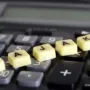 Pajak yang Dikembalikan Melonjak, Capai Rp 304,3 Triliun Hingga Agustus 2025