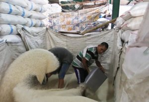 BULOG Malang Siap Serap Gabah Petani di Musim Gadu 2025 5 bulog