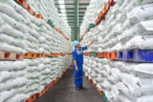 Pusri Pastikan Penyaluran Pupuk Bersubsidi Sesuai HET dan Aturan