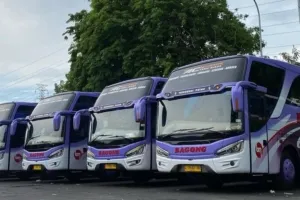 PO Bagong Luncurkan Rute Baru: Surabaya-Ambulu 8 PO Bagong Luncurkan Rute Baru: Surabaya-Ambulu