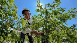 Kuasa Negara yang Tertahan: Refleksi Pasal 33 UUD 1945 dalam Kegagalan Ekonomi 1 Kuasa Negara yang Tertahan: Refleksi Pasal 33 UUD 1945 dalam Kegagalan Ekonomi