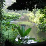 AA1OQt77.jpg AA1OQt77