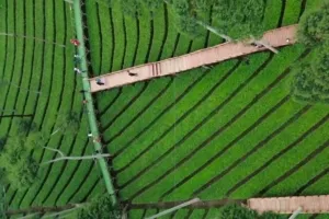 10 Destinasi Wisata Terbaru dan Terpopuler di Wonosobo yang Wajib Anda Kunjungi 11 10 Destinasi Wisata Terbaru dan Terpopuler di Wonosobo yang Wajib Anda Kunjungi