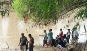 ngawi