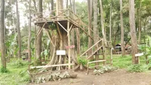 Mahasiswi Keperawatan Unej Jadi Tokoh Pemuda yang Aktif Promosikan Wisata Bondowoso 5 Mahasiswi Keperawatan Unej Jadi Tokoh Pemuda yang Aktif Promosikan Wisata Bondowoso