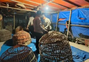 Polres Lamongan Bongkar Arena Judi Sabung Ayam di Dua Lokasi 1 Polres Lamongan Bongkar Arena Judi Sabung Ayam di Dua Lokasi