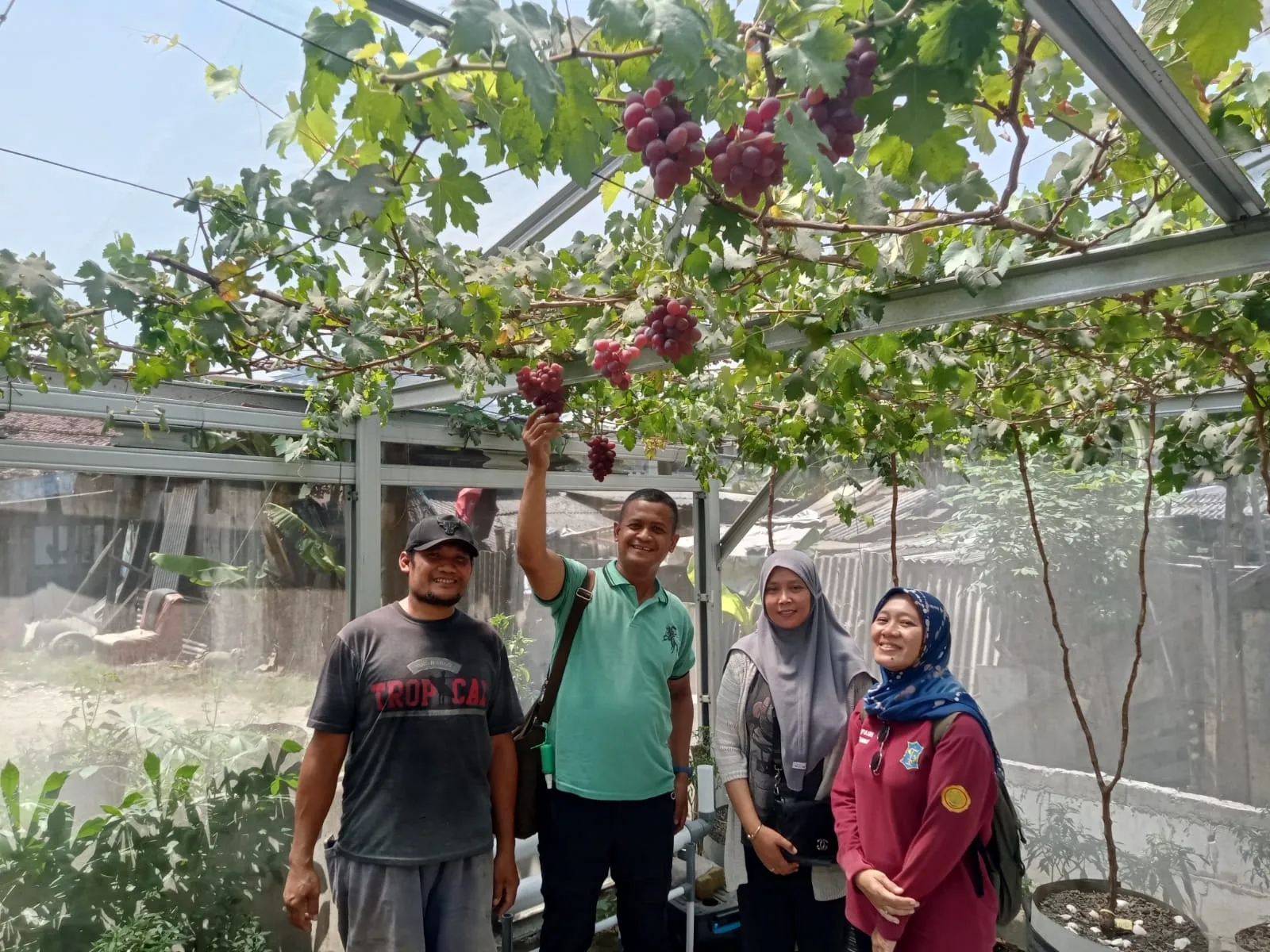Cabai Rawit Jadi Ajang Kreativitas Petani Urban Surabaya, Sememi Jaya Ikut Unjuk Gigi 1 Cabai Rawit Jadi Ajang Kreativitas Petani Urban Surabaya, Sememi Jaya Ikut Unjuk Gigi
