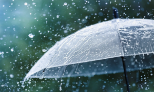 Cuaca Jawa Timur pada 30 Oktober 2025, Hujan Deras Mengguyur 28 Wilayah