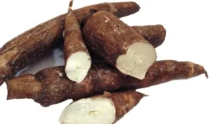 singkong