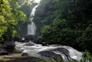 Tantangan Anggaran Daerah: Pemkab Jember Hadapi Pengurangan Dana Pusat