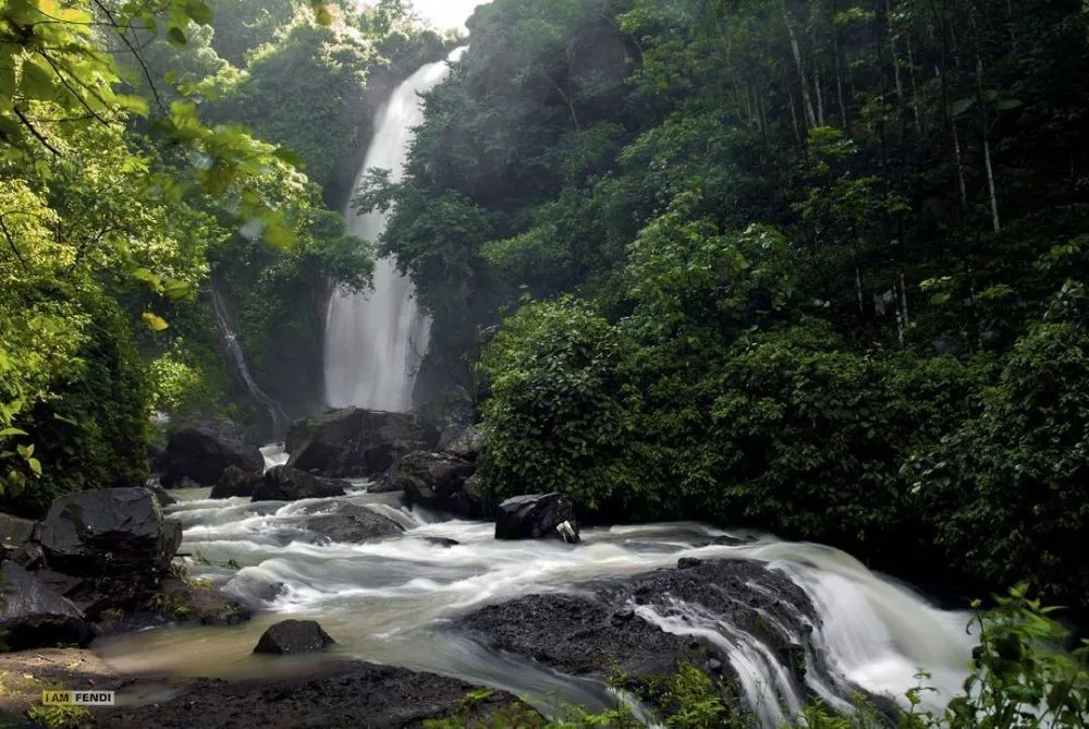 Tantangan Anggaran Daerah: Pemkab Jember Hadapi Pengurangan Dana Pusat 1 Tantangan Anggaran Daerah: Pemkab Jember Hadapi Pengurangan Dana Pusat