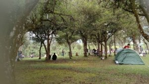 Objek Wisata Teh Jangkung, Pemandangan Sunset Menakjubkan di Bandung