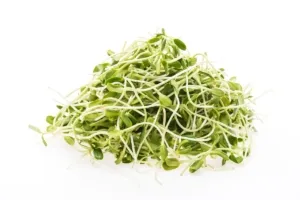 Apakah Tauge Meningkatkan Kesuburan Pria? Ini Fakta Pentingnya