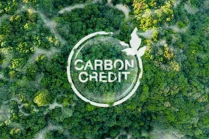 Bursa Karbon Tak Bergairah: BUMN Ajukan Proyek Baru