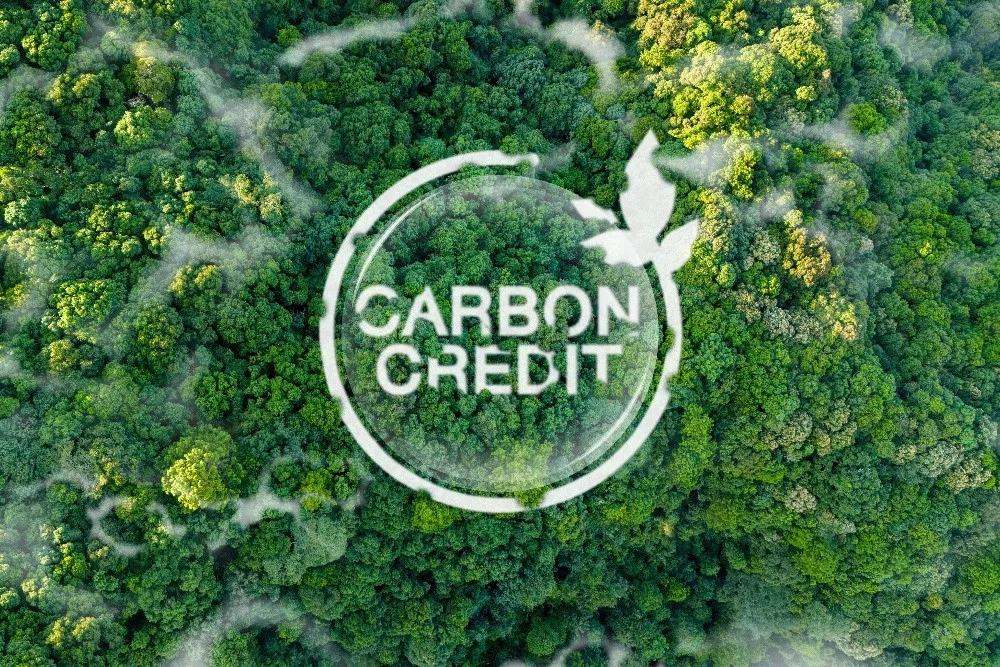 Bursa Karbon Tak Bergairah: BUMN Ajukan Proyek Baru