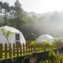Ingin Healing dan Quality Time? Coba 2 Rekomendasi Glamping Keluarga Terbaik di Malang yang Nyaman!