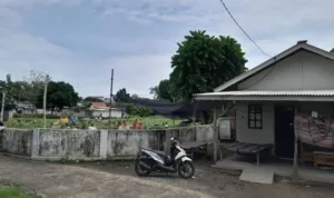 AA1QyYs1.jpg AA1QyYs1