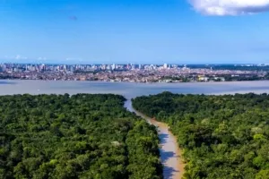 Hasil Negosiasi COP30 Uji Kekuatan Kerja Sama Iklim Global