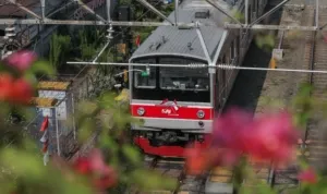 AA1RizEW
