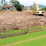 Dampak Alih Fungsi Lahan Pertanian Menjadi Pemukiman