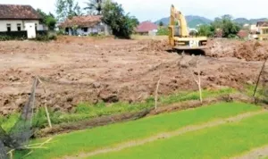 Dampak-Alih-Fungsi-Lahan-Pertanian-Menjadi-Pemukiman.jpg Dampak Alih Fungsi Lahan Pertanian Menjadi Pemukiman