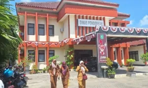 Disdik31