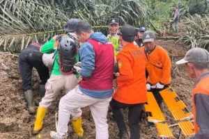Peristiwa Longsor di Ponorogo yang Menimpa 2 Rumah dan 7 Kendaraan