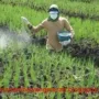 Kebutuhan Petani Situbondo Diperhatikan dengan Pengajuan Pupuk Bersubsidi Tahun 2026