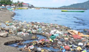 Masalah Sampah di Surabaya