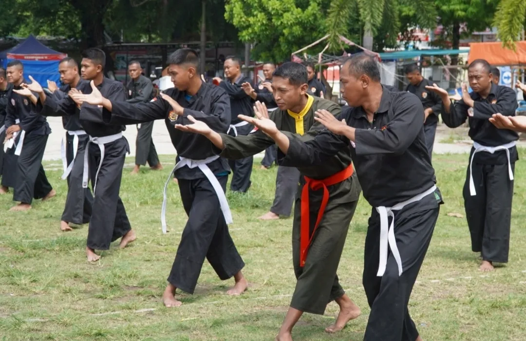 Mengenal Pencak Silat Militer, Beladiri Wajib TNI AD