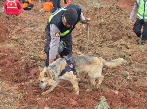 Polri Kerahkan Anjing Pelacak dalam Pencarian Korban Longsor Cilacap