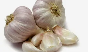 khasiat%2Bbawang%2Bputih.jpg khasiat bawang putih