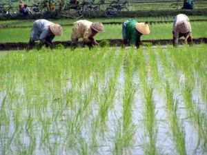 Bupati Pasuruan: Petani Harus Tahu Strategi Pengelolaan Bisnis Pertanian di Era Modern