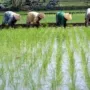 Bupati Pasuruan: Petani Harus Tahu Strategi Pengelolaan Bisnis Pertanian di Era Modern