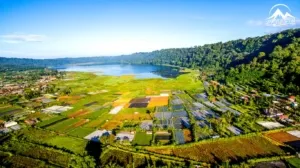 Pengembangan Wisata Desa Sumbersawit di Magetan