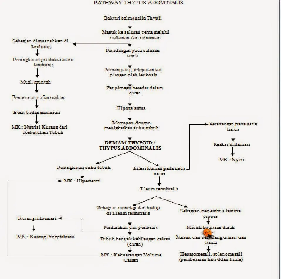 DBD Penyakit Musim Hujan yang Perlu Diwaspadai Saran Dinkes Kabupaten Blitar 1 DBD Penyakit Musim Hujan yang Perlu Diwaspadai Saran Dinkes Kabupaten Blitar