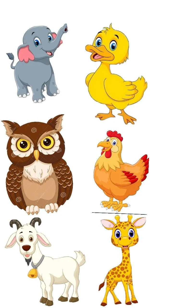 10 Hewan Lucu yang Cerdas dan Menggemaskan