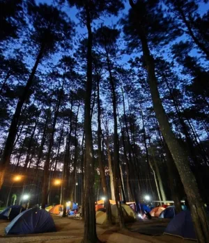 Wisata Alam yang Menarik Perhatian Selama Libur Nataru, Klurak Eco Park Lereng Gunung Welirang Pacet Mojokerto