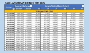 1-Tabel-angsuran-BRI-Non-KUR-2025-1-50-Juta.jpg 1 Tabel angsuran BRI Non KUR 2025 1 50 Juta